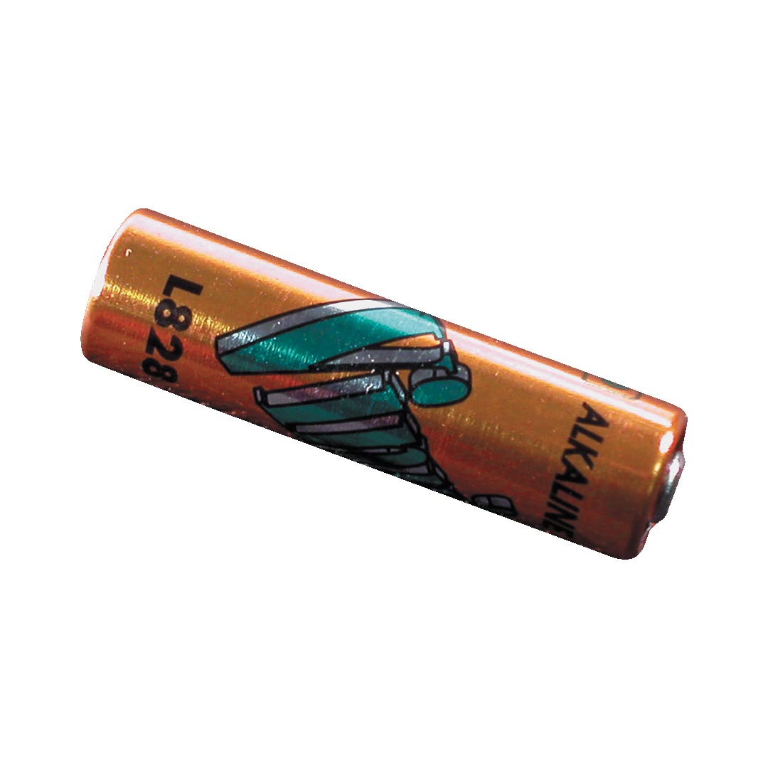 PAC BATTERY2, Mini 12V Alkaline Battery (L828)